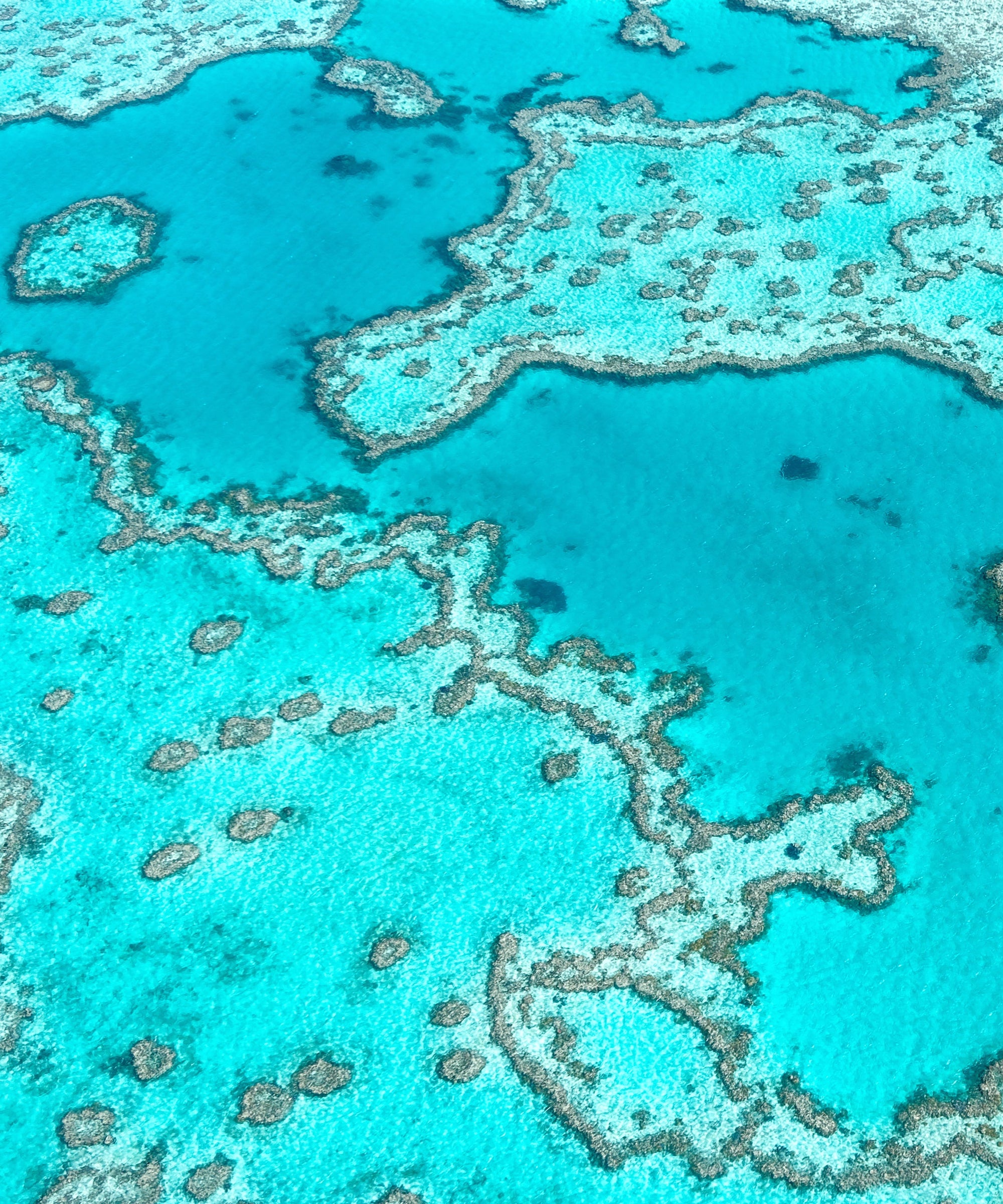 Aerial view of the Great Barrier Reef with its distinctive blue and white patterns.
