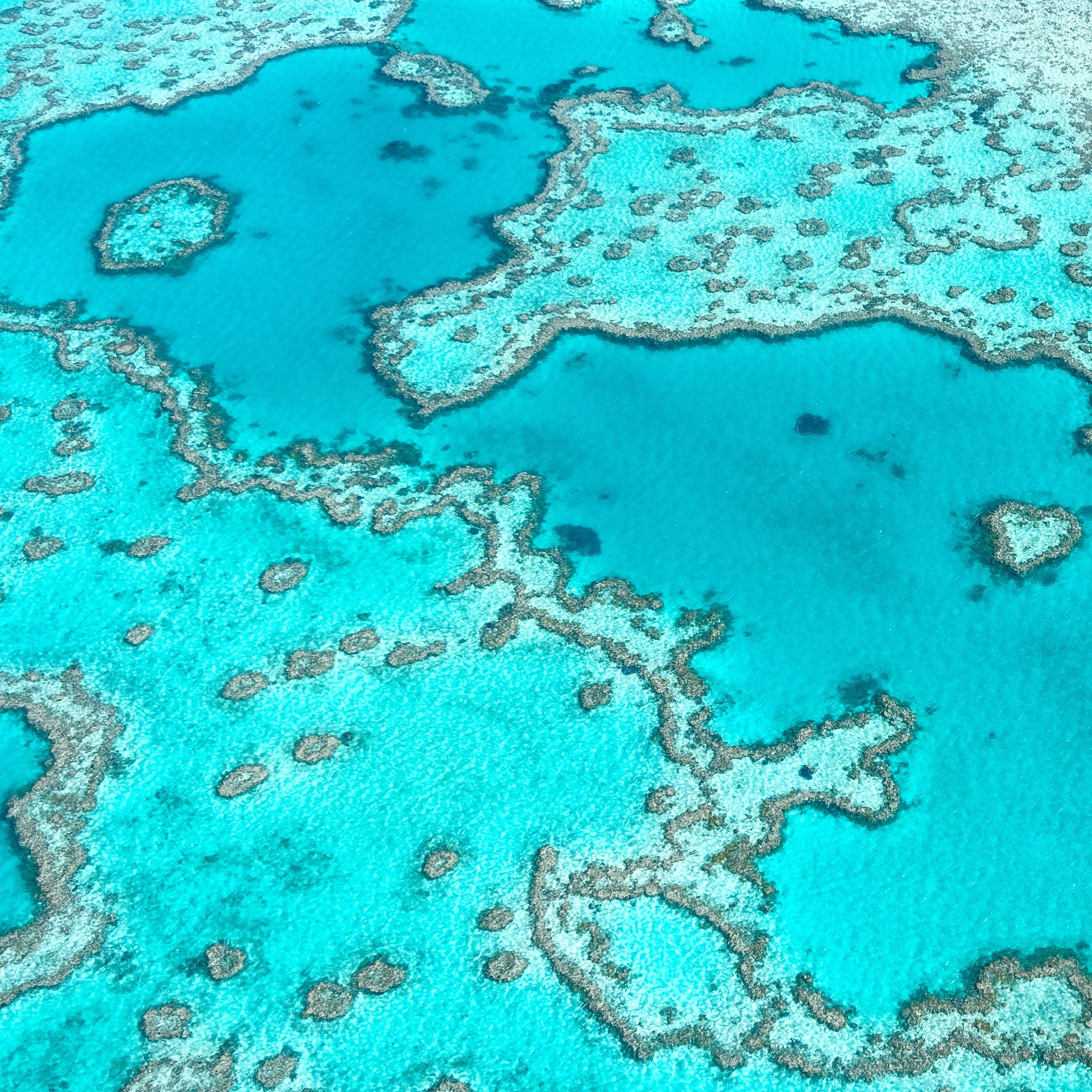 Great Barrier Reef Classic