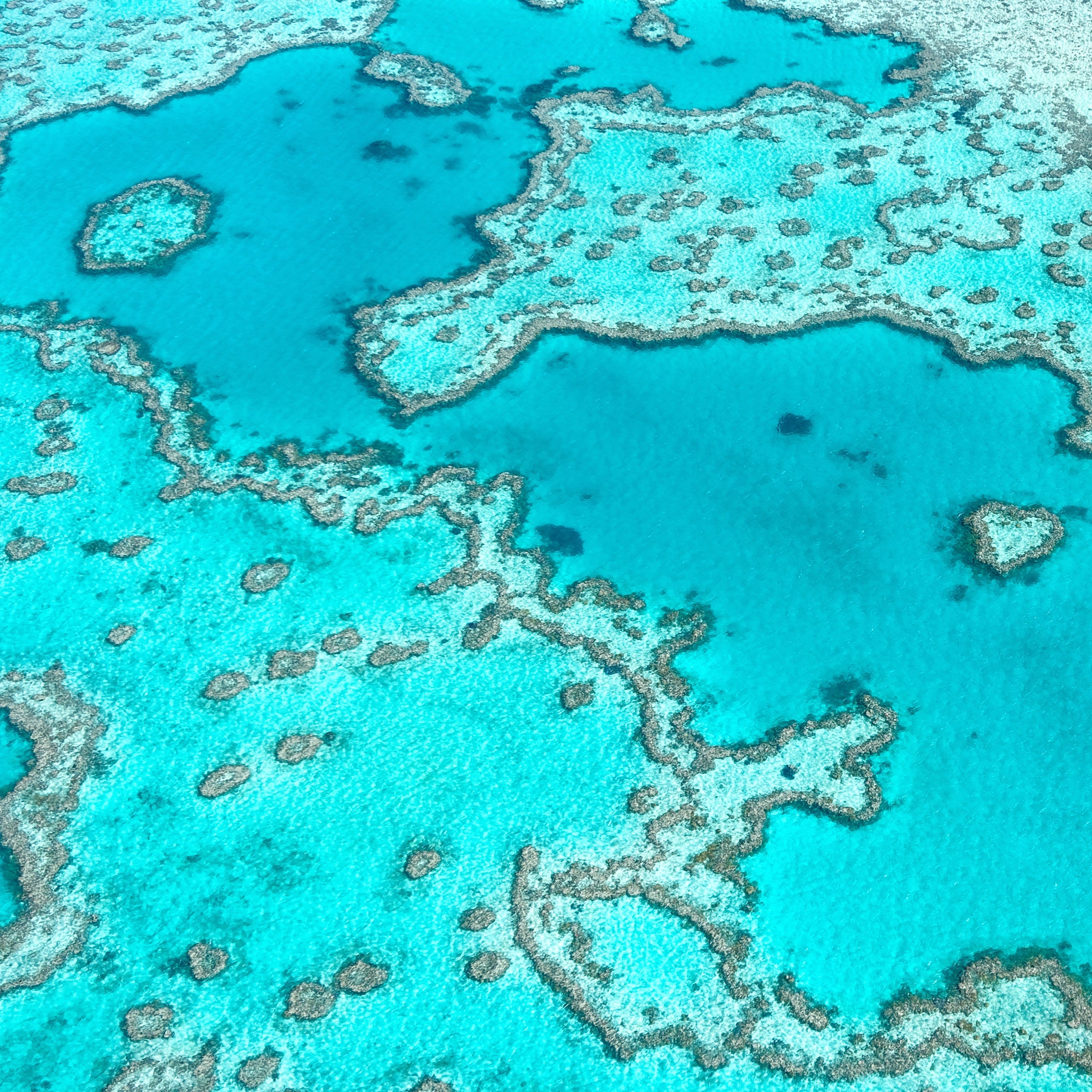 Great Barrier Reef Classic