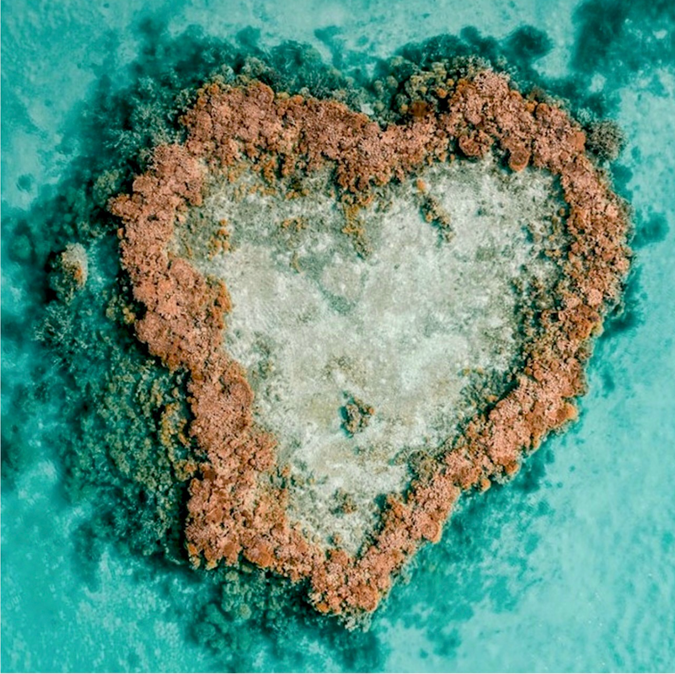 Heart Reef Classic