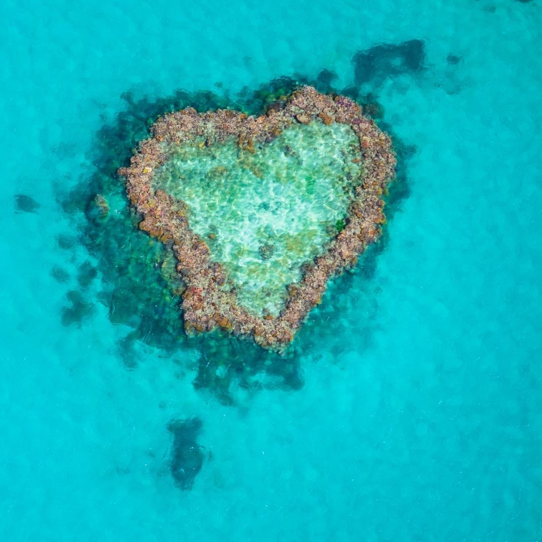 Aerial view of Heart Reef, a naturally heart-shaped coral formation surrounded by vibrant turquoise water in the Great Barrier Reef, Australia.