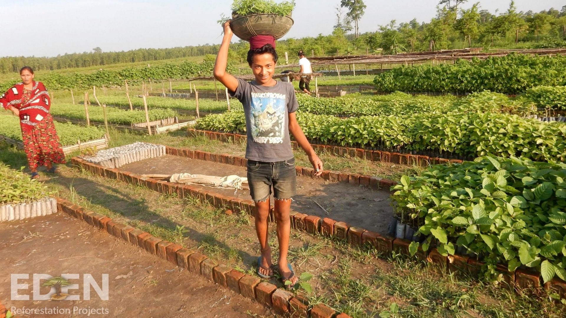 12,405 Trees Planted