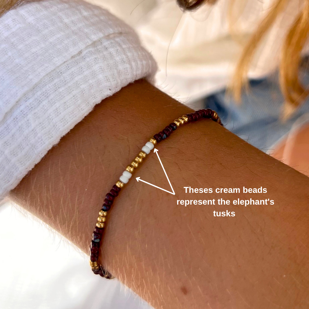 African Elephant Petite