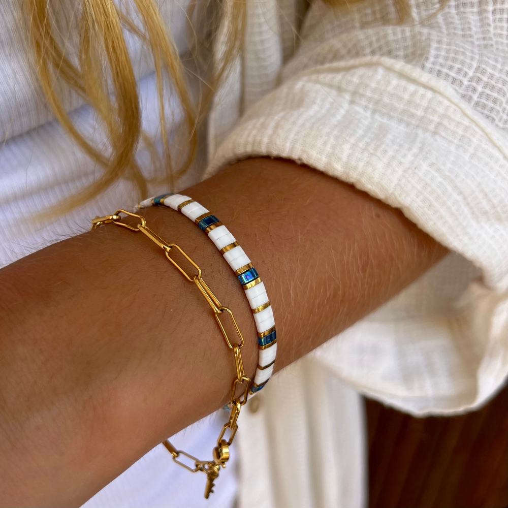 Blue Footed-Booby Classic