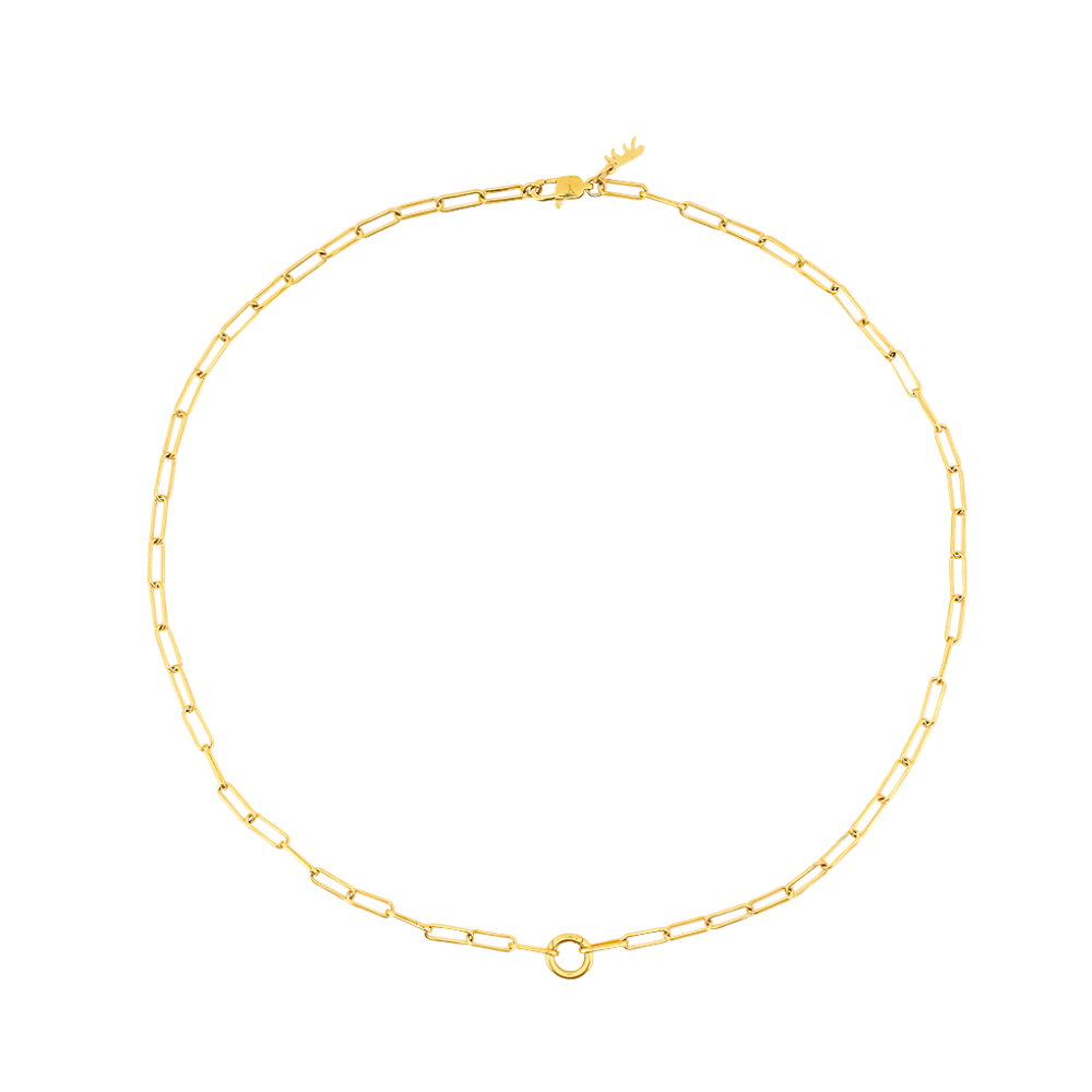 Gold charm chain necklace on a white background