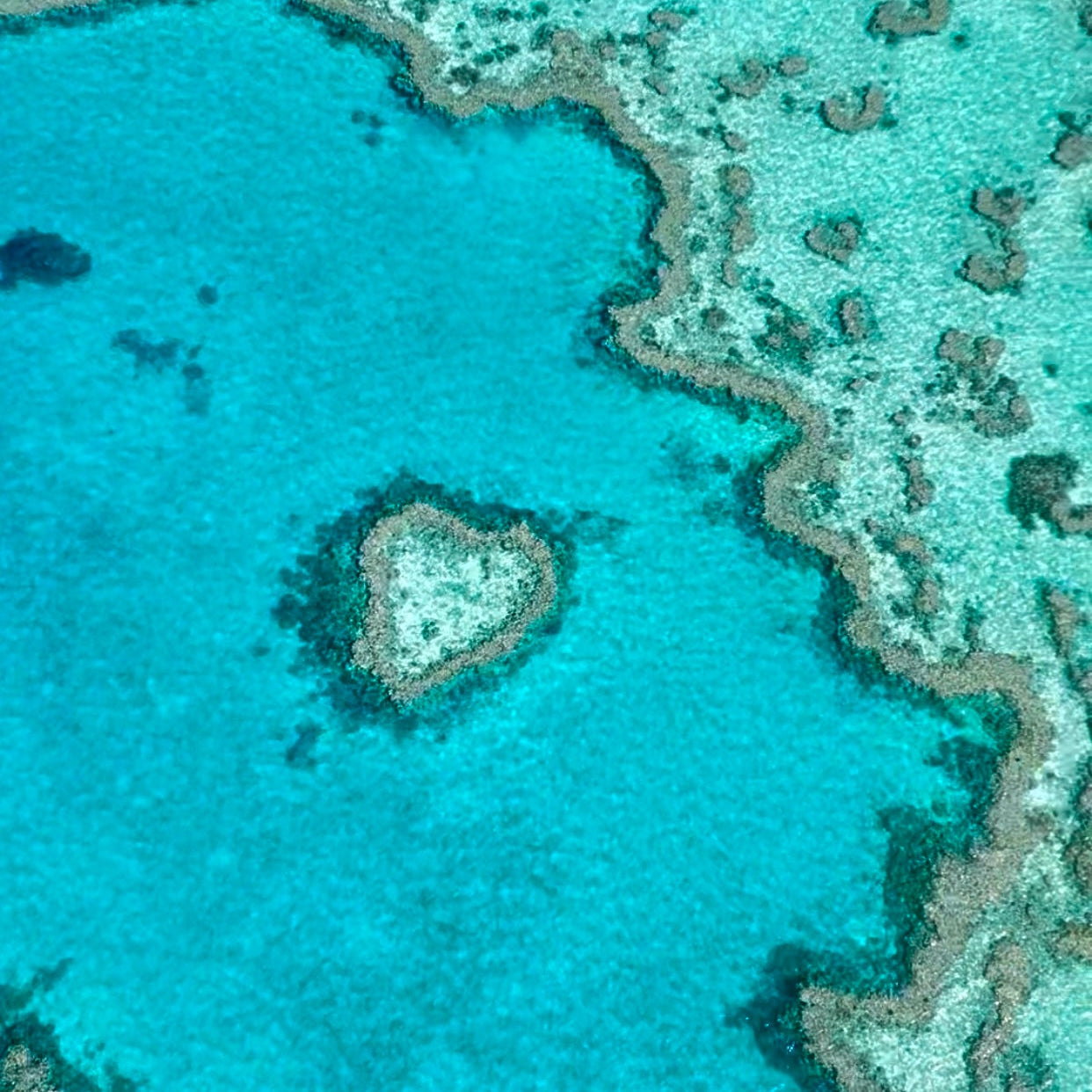 Heart Reef Enamel Silver Necklace