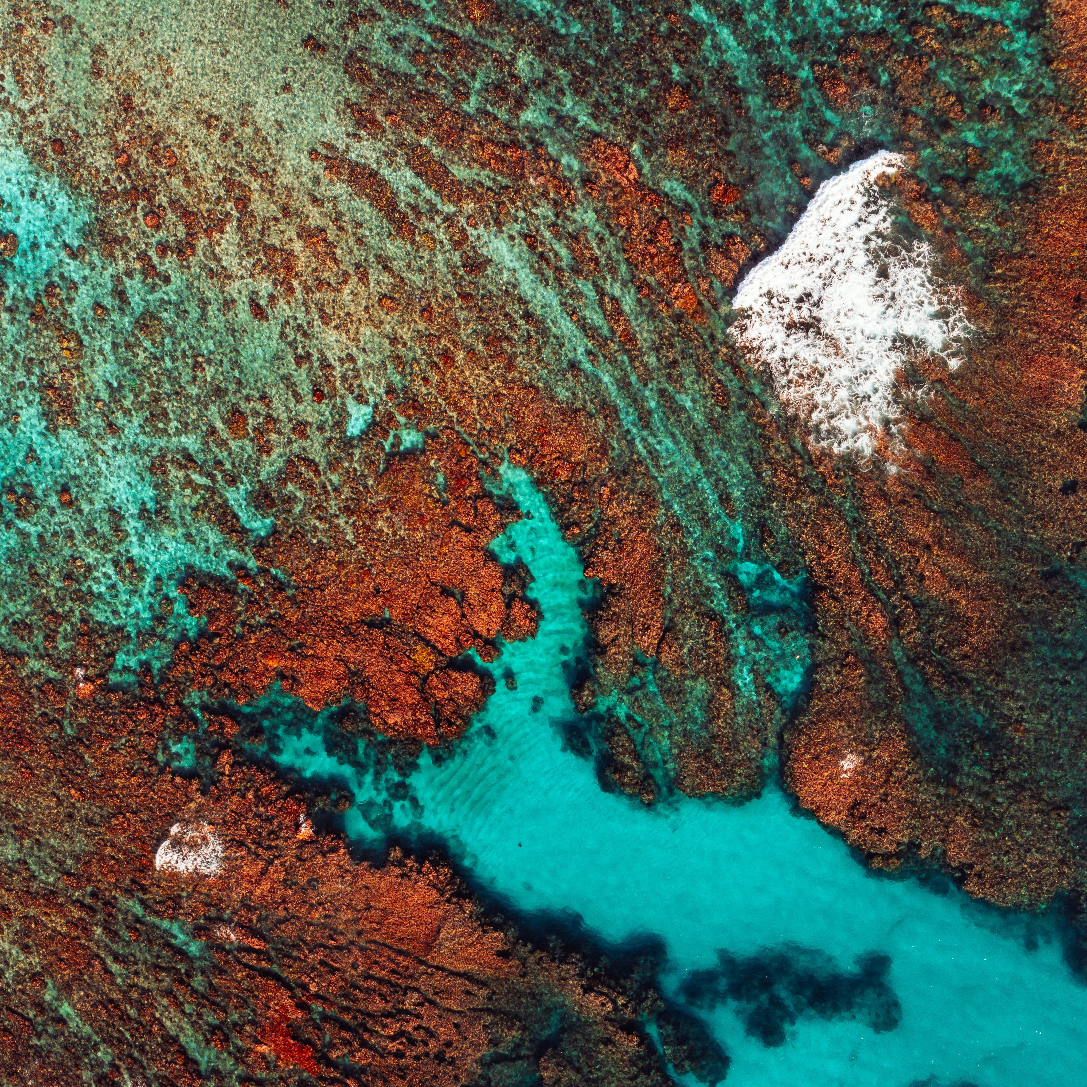 Ningaloo Reef Classic