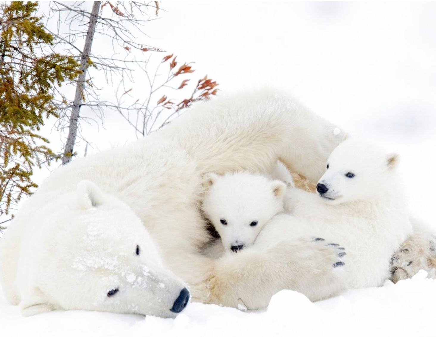 Mama Love Bracelet Stack